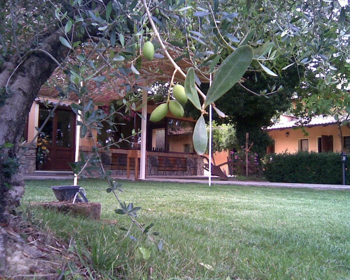 Agroturismo Le Spighe