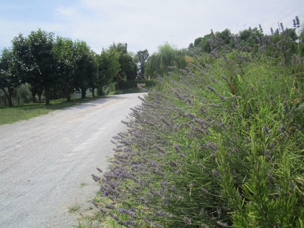 Le Spighe Agroturismo *