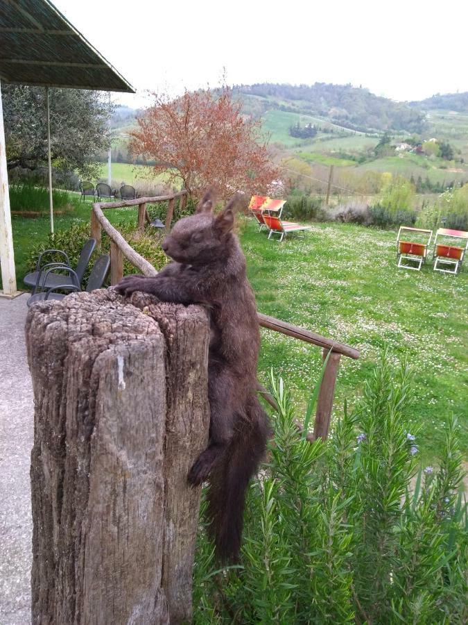 Le Spighe Agroturismo *
